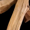 Palo Santo