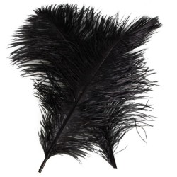 Pluma Natural
