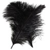 Pluma Natural