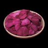 Pétalos de Rosa
